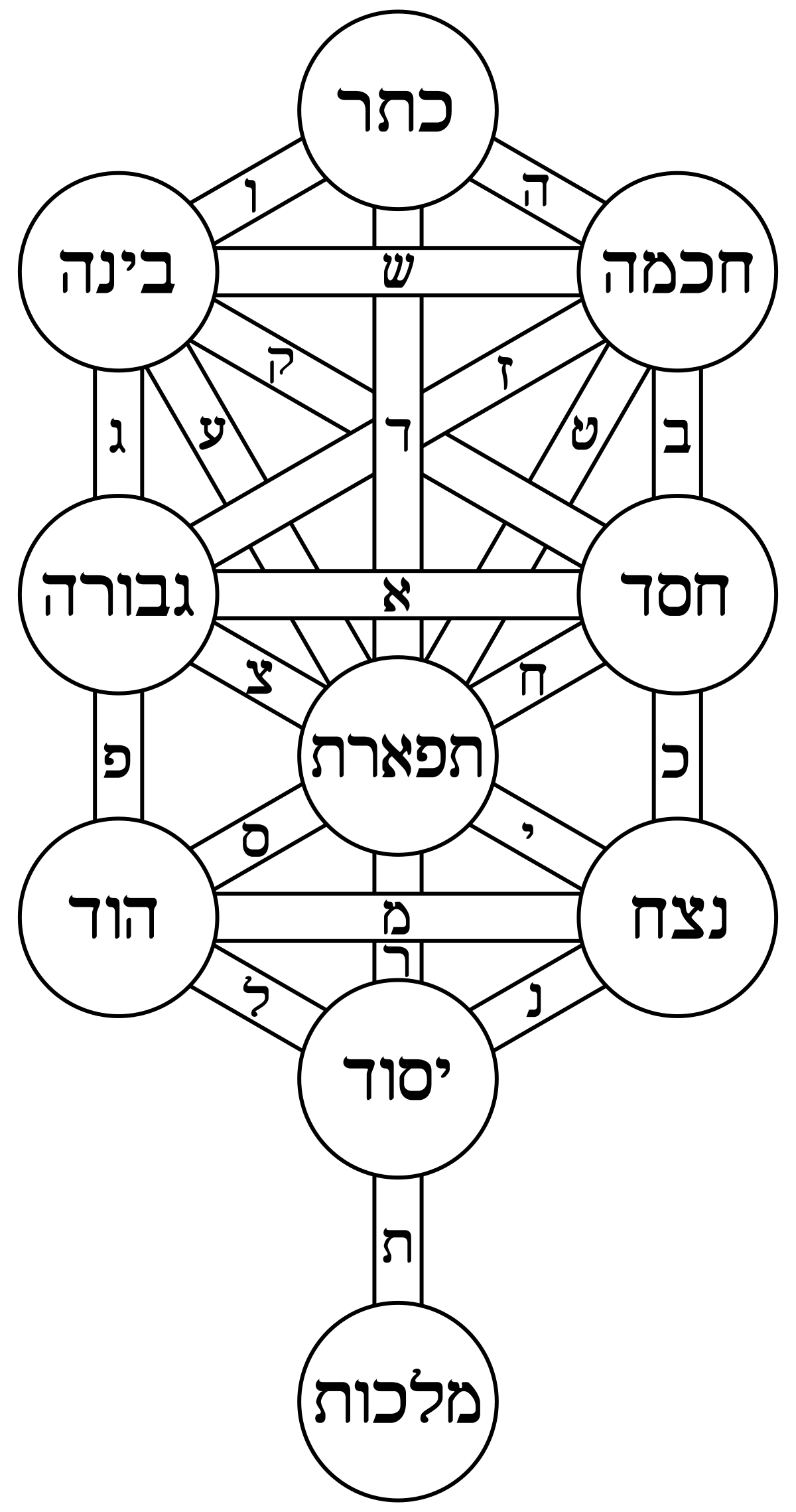 common Jewish tree of life.png